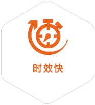 新安到比利时物流公司